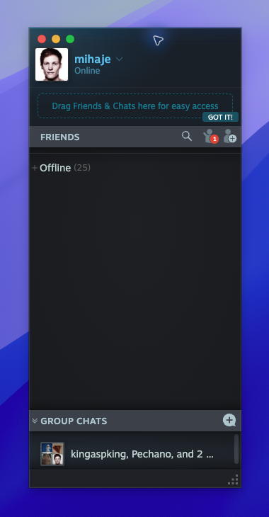 Steam Client - Friends & Chat — page overview (Captured)